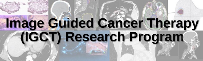Image Guided Cancer Therapy Seminars & Workshops