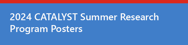 2024 CATALYST Summer Training Program