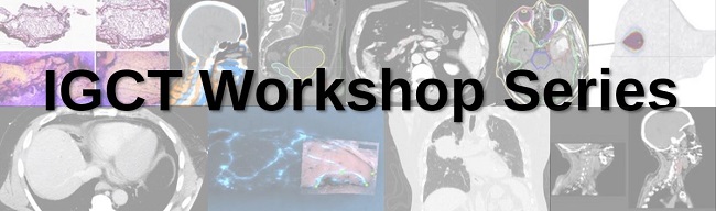 IGCT Workshops