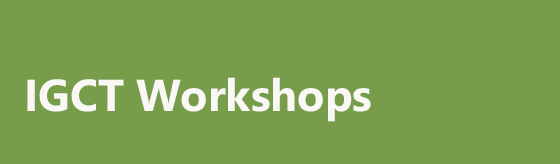 IGCT Workshops