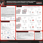 Immunohistochemical Characterization of Tumor-Associated Macrophage Polarization in Cutaneous T-Cell Lymphoma