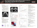 Discovering Optimal Imaging: Assessing Agreement Between Overlap and Distance Metrics in Black Bone MRI and CT Segmentation