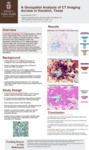 A Geospatial Analysis of CT Imaging Access in Houston, Texas