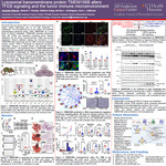 Lysosomal transmembrane protein TMEM106B alters TFEB signaling and the tumor immune microenvironment