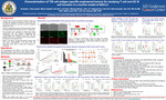 Characterization of T/B cell antigen specific-engineered tumors for studying T cell and GC B cell function in a murine model of NSCLC by Armando J. Ruiz-Justiz; Mona Yazdani; Xin Sun; Lili Chen; Michael Wang; John Le; Haiping Guo; Can Cui; Kelli Cannolly; Aya Tal; Wei Hu MD, PhD; Nikhil Joshi PhD; and Tina Cascone MD, PhD