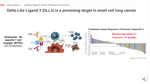 Validating DLL3-targeting CAR T in small cell lung cancer