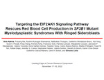 Targeting the EIF2AK1 Signaling Pathway  Rescues Red Blood Cell Production in SF3B1 Mutant Myelodysplastic Syndromes With Ringed Sideroblasts