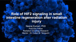 Role of HIF2 signaling in small intestine regeneration after radiation injury by Neeraj Kumari; Maya Ferrell; Carolina Garcia-Garcia; and Cullen M. Taniguchi MD, PhD