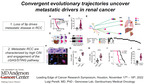 Convergent evolutionary trajectories uncover metastatic drivers in renal cancer