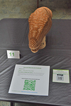 T-Rexcellent Recyclable, 2024, overhead view by Tammy Farnsworth