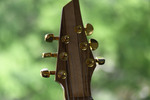 Rock'n Research, 2025, tuning pegs by Andrew J. Burkhardt