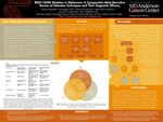BRAF V600E Mutation in Melanoma: A Comparative Meta-Narrative Review of Detection Techniques and Their Diagnostic Efficacy