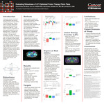 Evaluating Robustness of LET-Optimized Proton Therapy Pelvic Plans​