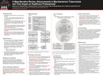 A Meta-Narrative Review: Advancements in Mycobacterium Tuberculosis and Their Impact on Healthcare Professionals