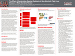 ​​The Effect of Bacteroides Species Dysbiosis in Non-Alcoholic Fatty Liver Disease: A Meta-Narrative Review