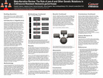 Meta-Narrative Review: The Role of pen-A and Other Genetic Mutations in Ceftriaxone-Resistant Neisseria gonorrhoeae