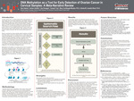 DNA Methylation as a Tool for Early Detection of Ovarian Cancer in Cervical Samples: A Meta-Narrative Review