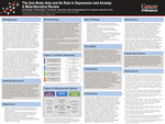 The Gut–Brain Axis and Its Role in Depression and Anxiety: A Meta-Narrative Review