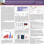 Targeting Wee1 Kinase in Head & Neck Squamous Cell Carcinoma by Kevin Choi, Arisa Nishikawa-Kaga, Mutsuki Kawabe, Tsung-You Tsai, Jeffrey Myers, and Abdullah Osman