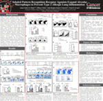Inhaled Pattern Recognition Receptor Agonists Expand Alveolar Macrophages to Prevent Type 2 Allergic Lung Inflammation