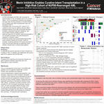 Menin Inhibition Enables Curative-Intent Transplantation in a High-Risk Cohort of NUP98-Rearranged AML​