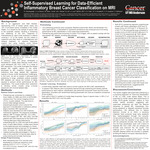 Self-Supervised Learning for Data-Efficient Inflammatory Breast Cancer Classification on MRI