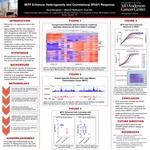 MITF Enhancer Heterogeneity and Correlational BRAFi Response by Navya Murugesan, Mayinuer Maitituoheti, and Kunal Rai