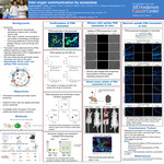 Inter-organ communication by exosomes