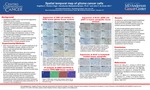 Spatial temporal map of glioma cancer cells by Angelica C. Romero-Vega, Veerakumar Balasubramaniyan PhD, and John F. de Groot MD