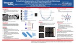 Probabilistic Segmentation of Differently-sized Brain Metastases Using an Ensemble of Neural Networks by Maggie Lee and Caroline Chung MD