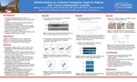 USP48 Inhibition as a Potential Therapeutic Target for Patients with T-acute Lymphoblastic Leukemia