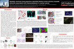 Spatially Resolved Transcriptomics Identified Distinct Tumor-Stroma Crosstalk Networks Associated With Chemoresistance in Ovarian Cancer