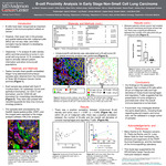 B-cell Proximity Analysis in Early Stage Non-Small Cell Lung Carcinoma