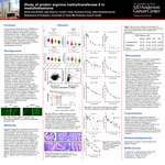 Study of Protein Arginine Methyltransferase 6 in Medulloblastoma by Sarah Grandinette, Ajay Sharma, Yanwen Yang, Donghang Cheng, and Vidya Gopalakrishnan PhD