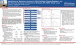 Identification of Biomarkers Involved in CDK4/6 Inhibitor Therapy Resistance and the Molecular Response to Treatment for Metastatic ER+/HER2- Breast Cancer by Sophie R. Liu, Sofia Mastoraki, and Khandan Keyomarsi