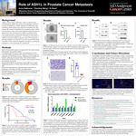 Role of ASH1L in Prostate Cancer Metastasis by Anna DeBruine, Chenling Meng, and Di Zhao