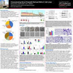 Characterizing Novel Kras/p53 Derived NSCLC Cell Lines by Quincyn Perry, Jared Fradette, and Don Gibbons