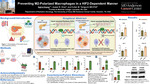 Preventing M2-Polarized Macrophages in a HIF2-Dependent Manner by Nghia Hoang; Jasper R. Chen; and Cullen M. Taniguchi MD, PhD