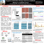 Targeted Combination Therapy Improves Erdafitinib Efficacy in Urothelial Cancer