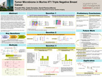 Tumor Microbiome in Murine 4T1 Triple Negative Breast Cancer