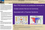 Association Between Rare TP53 variants and Cancer Predisposition in Colorecta, Melanoma, Ovarian, Pancreatic, and Prostate Cancer