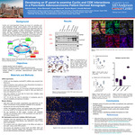 Developing an IF panel to examine Cyclin and CDK interactions in a Pancreatic Adenocarcinoma Patient Derived Xenograph. by Nathalie A. Garza, Ethan D. Marszalek, Alyssa M. Machado, Booke A. Meyers, and Annette A. Machado