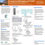 The Arginine Methylation of P14ARF by Robert Lwanga, John R. Horton, and Xiaodong Cheng