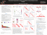 Chromatin Organization Analysis of EGFR in Various Human Cancer Samples