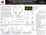 Effect of Expansion and Tumor Challenge on Chemokine Receptor Expression in Cord Blood-Derived CAR-NK Cells
