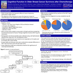 Cognitive Function in Older Breast Cancer Survivors after Chemotherapy​