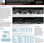 Deep Learning for Automatic Detection and Segmentation from CT Angiography of Deep Inferior Epigastric Vascular Structures for Preoperative Planning of TRAM Flap Surgeries by Josephine Chen, Jong Bum Son, Jingfei Ma PhD, Jia Sun, Greg Reece, Miral Patel, and Huong Le-Petross MD